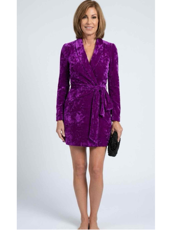 Shoshanna Dresses & Skirts - Shoshanna Fontanne Crushed Velvet Long Sleeve Dress Plum Size 4